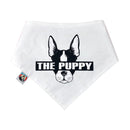 Pet Dog Cotton Personalized Collar Summer Winter Pet Bids Puppy Watermelon Collar