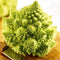 Egrow 100 Pcs/Pack Cauliflower Seeds Vegetable Broccoli Bonsai Balconies Cabbage Cauliflower Terraces Small Planting Rapebonsai