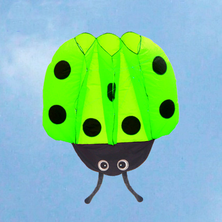 1.4m Children Ladybug Kite Portable Outdoor Funny Game Sport Park Kite