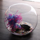 Round Clear Glass Vase Fish Tank Ball Bowl Flower Planter Terrarium Home Decor
