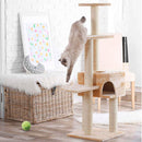 PETONEER PBL010 Smart USB Charging Electric Cat Companion Ball Cat Toy Built-In Catnip Box Irregular Scrolling Funny Cat Artifact Smart Pet Toys