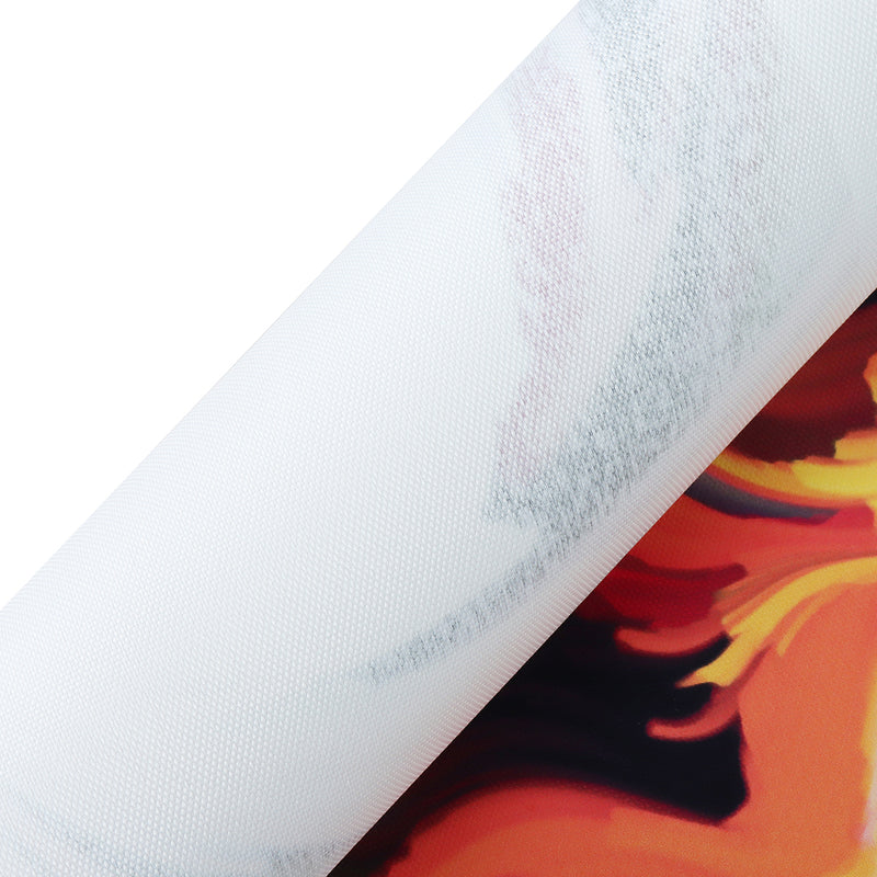 5PCS Wall Art Canvas Paintings HD Print Abstract Colorful Hair Woman Face Posters