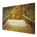 5x7FT Autumn Fall Bridge Photography Vinyl Background Studio Photo Backdrops