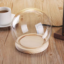 12cm Glass Dome Ball Cloche Globe Bell Jar Tealight Flower Cover Stand Display Room Decorations
