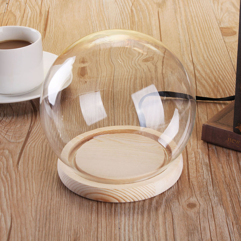 12cm Glass Dome Ball Cloche Globe Bell Jar Tealight Flower Cover Stand Display Room Decorations