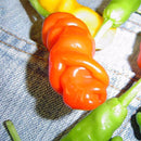 Egrow 100Pcs/Pack Chili Seeds Red Green Yellow Peppers Funny Kitchen Seasoners Plants Seeds
