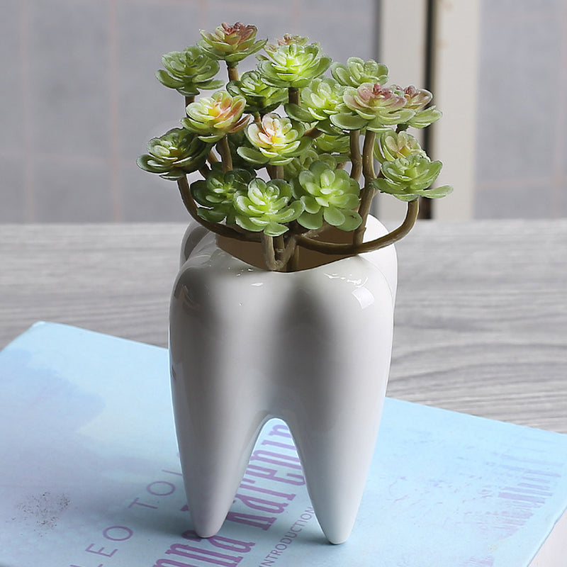 7x10cm Tooth Shape Flower Pot Succulent Plant Storage Ceramic Gardening Potted Creative Home Decor