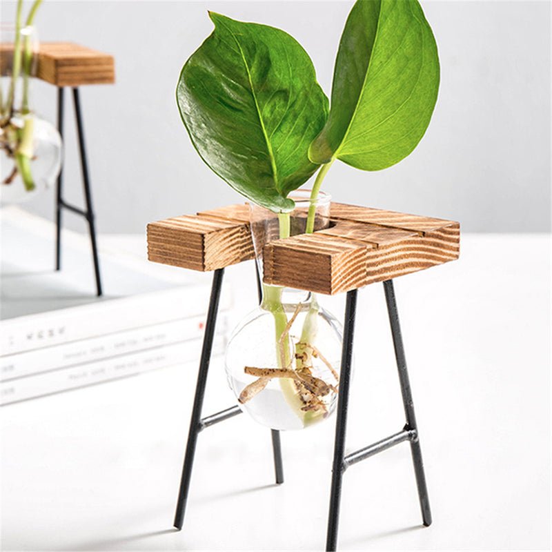 Ball Shape Glass Vase Plant Hydroponic Container Flower Bottle Table Desk Decor with Wooden Shelf Stand