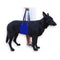 Dog Waist Harness Gog Harness Pet Protection Belt Nylon Clasp Protecting Waist Belt Sport Running Leash Pet Dogs Product