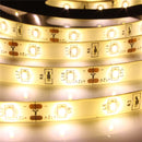 5M 300 SMD 3014 White/Warm White Waterproof LED Strip Light DC 12V