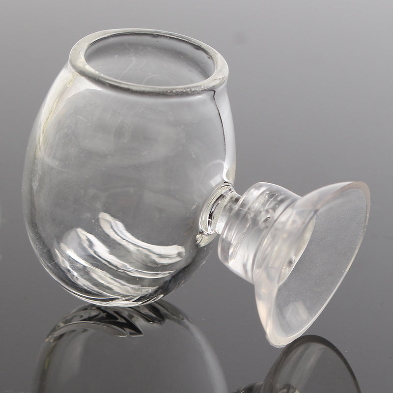 Aquarium Fish Tank Aquatic Plant Clear Glass Cup Holder + Sucker