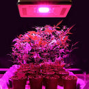 ARILUX 50W Full Spectrum LED Plant Grow Hanging Flood Light Waterproof Thunder Protection 220-240V