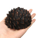 Pinecone Hidden Hide Key Box Holder Secret Stash Safe Outdoor Garden Safe Box