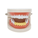 Hip Hop Plated Gold Braces Cut Face Cross Texture Teeth Real Gold Plating Teethgrillz Teeth Mould
