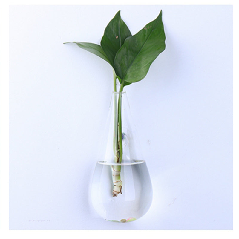 Irregular Wall Hanging Glass Planter Air Plant Terrarium Flower Pots Vase