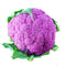 Egrow 100 Pcs/Pack Cauliflower Seeds Vegetable Broccoli Bonsai Balconies Cabbage Cauliflower Terraces Small Planting Rapebonsai