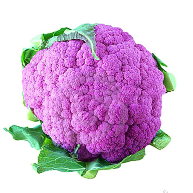 Egrow 100 Pcs/Pack Cauliflower Seeds Vegetable Broccoli Bonsai Balconies Cabbage Cauliflower Terraces Small Planting Rapebonsai