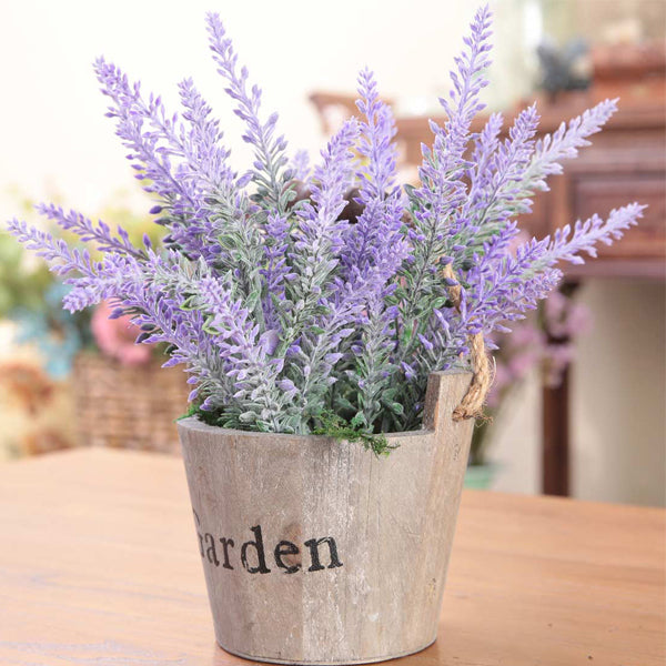 Egrow 200Pcs Provence Lavender Seeds Fragrant Organic Flower Seeds Home Garden Bonsai Plant