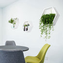 Handmade Acrylic Chlorophytum Flower Pot Scindapsus Hexagon Hanging Wall Decoration