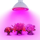 20W E27 166 Red 34 Blue LED Grow Light Plant Lamp Bulb Garden Greenhouse Plant Seeding Light
