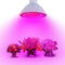 20W E27 166 Red 34 Blue LED Grow Light Plant Lamp Bulb Garden Greenhouse Plant Seeding Light