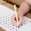 XIAOMI YOUPIN Self-supplied Ink Brush Pen for Chinese Calligraphy Practice Pen School Student Stationery Art Landscape Painting Supplies