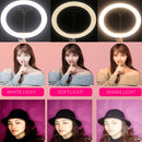 Live Video Dimmable LED Ring Light Photography Adjustable 360 Rotating Fill Light with Phone Clip Selfie Holder Tripod for Beauty Makeup