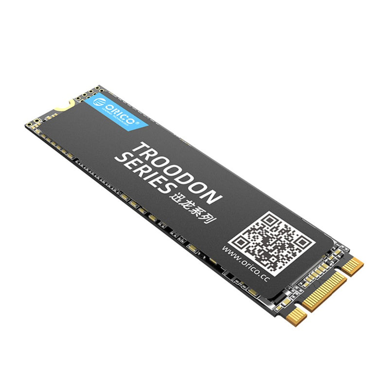 ORICO TROODON N300 Series M.2 NGFF SATA 3.0 SSD Solid State Drive 3D NAND 128G 256G 512G 1T Hard Drive R/W at 560/516 MB/s