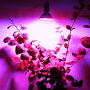 E27 15W LED Hydroponic Plant Grow Full Spectrum Indoor Light Bulb