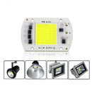 50W White Light LED COB Light Smart IC Chip Lamp for DIY Floodlight Spotlight AC220V