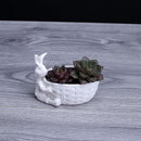Rabbit Basket Shape Pot Succulent Planter Herb Flower Gardening Box Case Decor