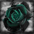 Egrow 100 Pcs Black Rose Seeds Dark Green Rose Garden Bonsai Perennial Plants Flower Seed