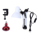 110-240V 100W Infrared Red Heat Light Therapeutic Home Therapy Lamp Pain Relief Floor Stand