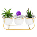 Ceramic Succulent Plant Flower Pot Bonsai Holder Home Tabletop Garden Decor With Stand
