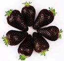 Egrow 200 PCS Black Strawberry Seeds Fresh Exotic Tasty Fruit Potted Seed Garden Bonsai Plant