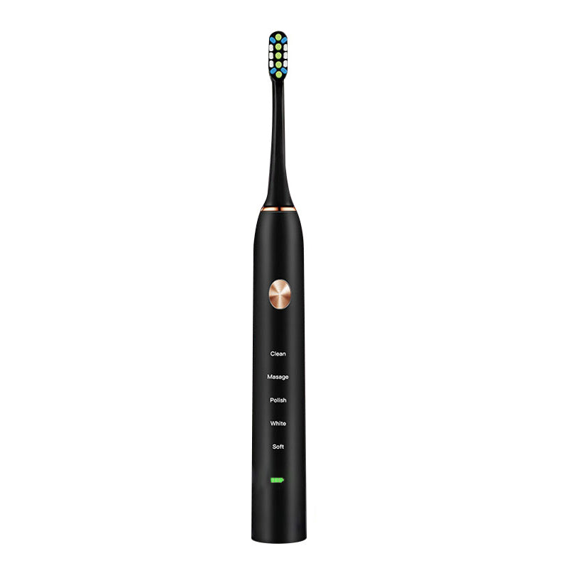 Loskii PA-213 Electric Toothbrush Rechargeable Ultrasonic Vibration Toothbrush 2 Replacement Heads