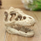 Dragon Resin Aquarium Decoration Crocodile Skull For Fish Tank Resin Ornament