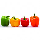 Egrow 50Pcs/Bag Mixed Red Yellow Green Pepper Seeds Colorful Sweet Pepper Seeds Mix Bell Peppers