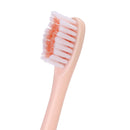 IP67 Powerful Ultrasonic Electric Toothbrush USB Charging Tooth Brush Oral Care Teeth Cleaner With Replacement Heads