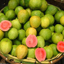 Egrow 30 Pcs/Pack Guava Seeds Tropical Sweet Fruit Tree Plants Seed for Garden Balcony Courtyard
