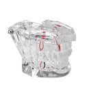 Clear Dental Teeth Study Teaching Model Crystal Typodont Model Removable Teeth Model Medical Model