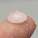 Suleve SFB01 50Pcs Self Adhesive Silicone Feet Bumper Dots Cabinet Buffer Stop Pads Protector