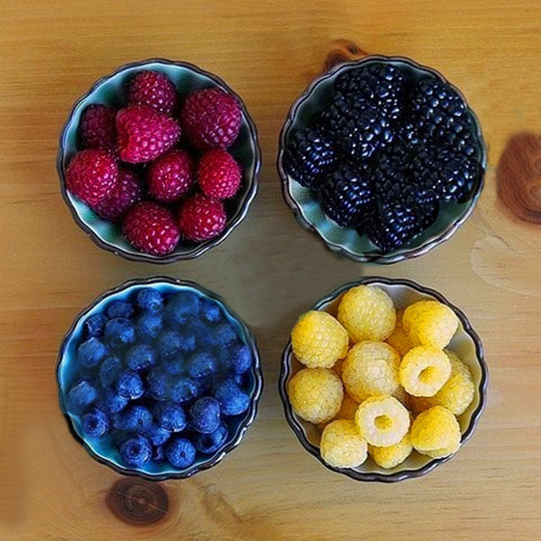 Egrow 4000 Pcs/Pack Mixed Color Raspberry Seeds Each 1000 Pcs for Blue Black Red Yellow Fruit Seed