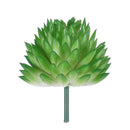 10Pcs PVC Artificial Succulent Flocking Plants Foliage  Landscape Garden Decorations