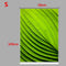 PAG Green Leaf Wall Decor Window Curtain Roller Shutters Print Painting Roller Blind Background