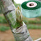 2cm x 100m / Roll Gardening Tape Grafting Parafilm Garden Tools Fruit Tree Secateurs Engraft Branch Tape Stretch Film
