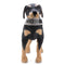 Dog Life Jacket Pet Life Vest Saver for Swimming Boating Dog Floatation Life Preserver Coat Safety