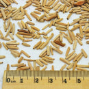 Egrow 5PC/Pack Rose Seeds Real Adenium Obesum Flores Desert Rose Flower Plantas Home Garden Bonsai Succulent Plants