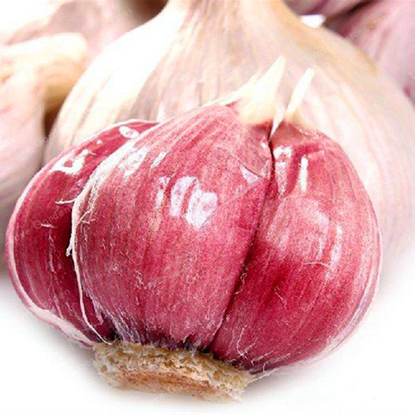 Egrow 100 Pcs/Bag Multi-petals Red Garlic Seeds Organic Vegetable Kitchen Food Seasoning Home Bonsai