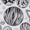 Wall Sticker Vinyl Decal Mural Home Room Decoration DIY Removable Picture